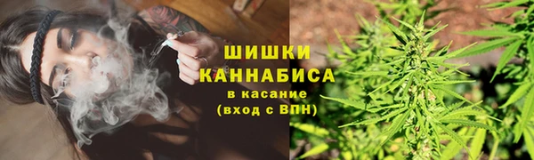 индика Богородск