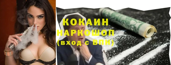индика Богородск