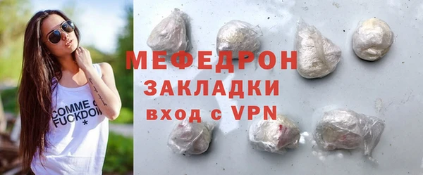 индика Богородск