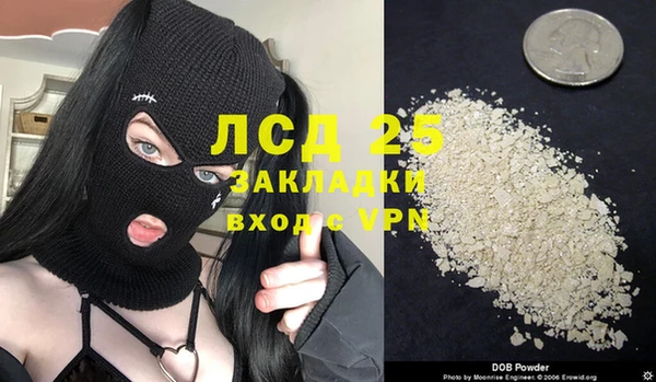 индика Богородск