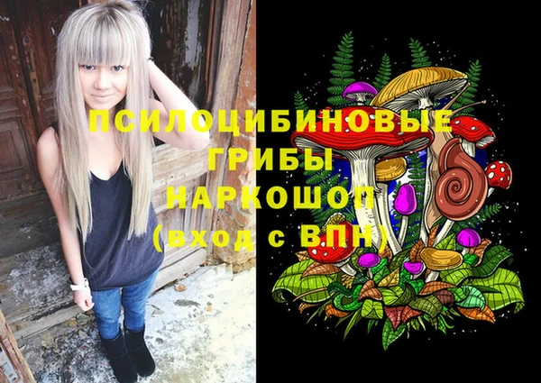 гашик Верхнеуральск