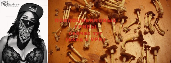 индика Богородск