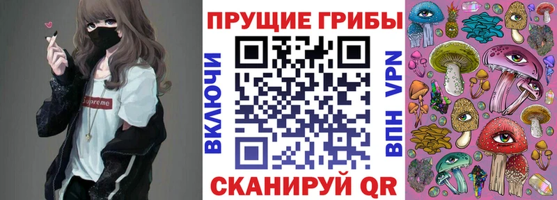 Псилоцибиновые грибы прущие грибы  где продают наркотики  Северск 