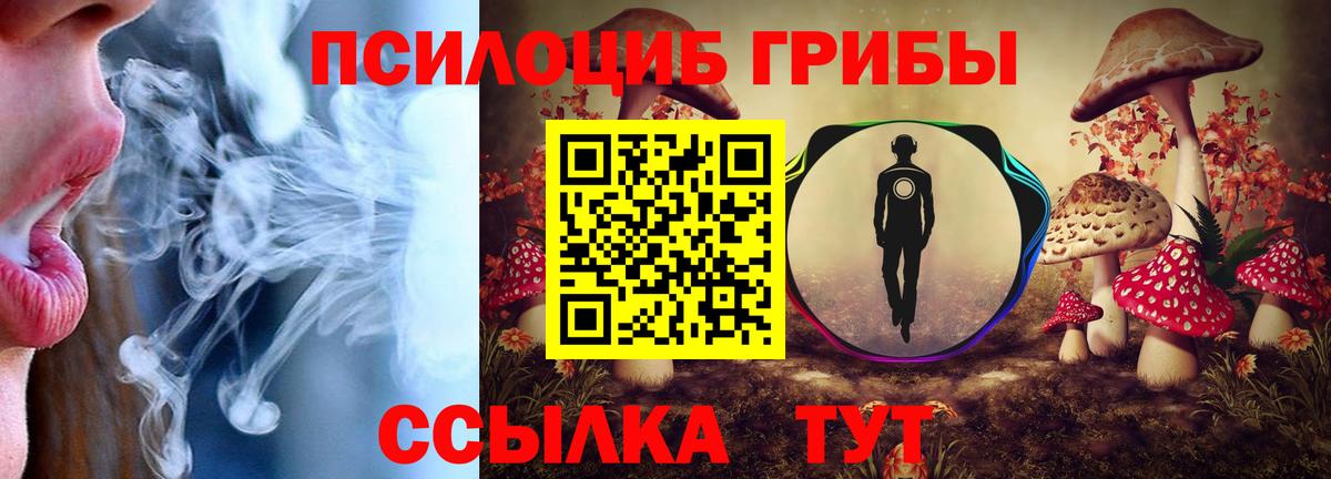 Северск  Галлюциногенные грибы ЛСД  Псилоцибиновые грибы Magic Shrooms  Вход с VPN 