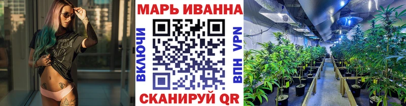 Бошки Шишки план  Северск 