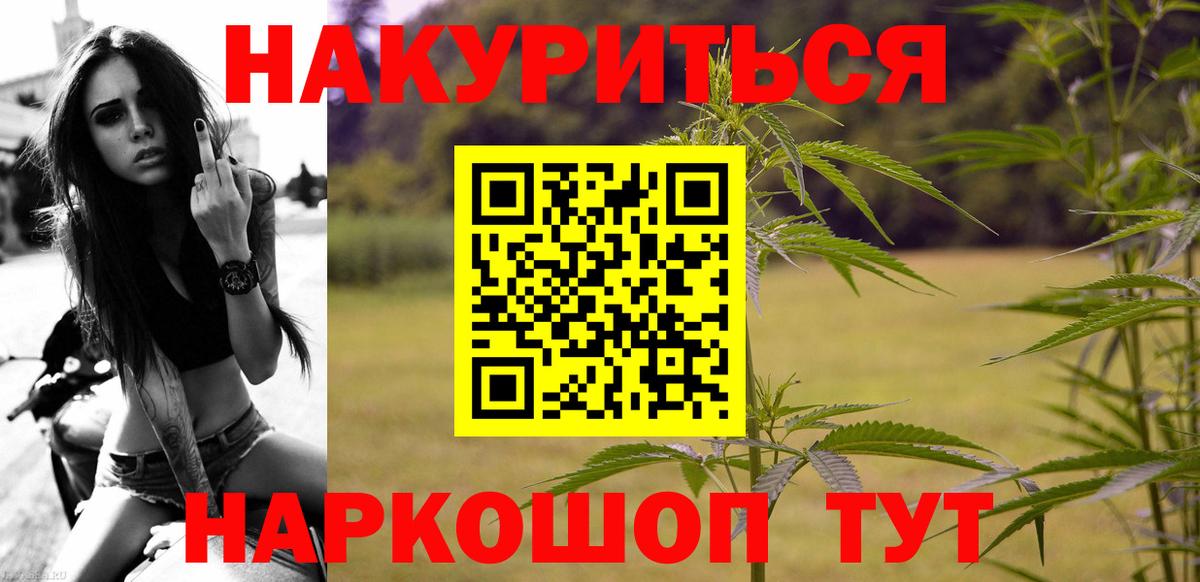 Конопля планчик Северск